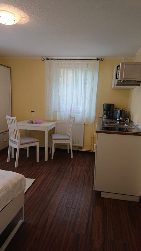 2-Raum-Apartment (50qm) in Leubnitz-Neuostra