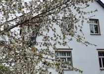 moritzburg-august-bebel-strasse